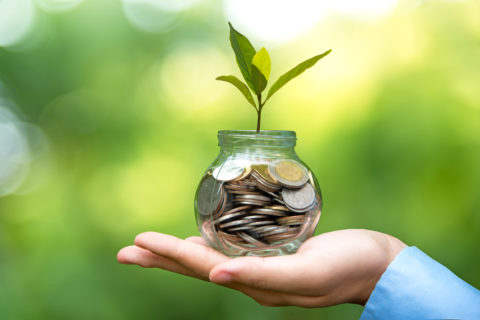 Concetto di crescita dei risparmi messi in un salvadanaio.