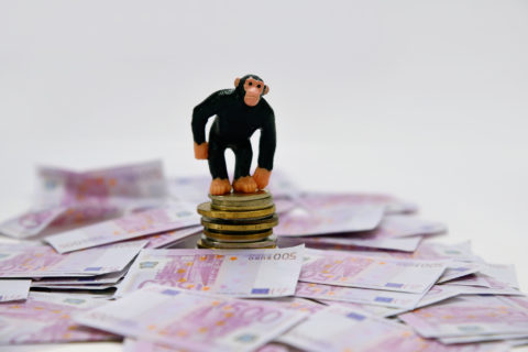 scimmia denaro e previsioni